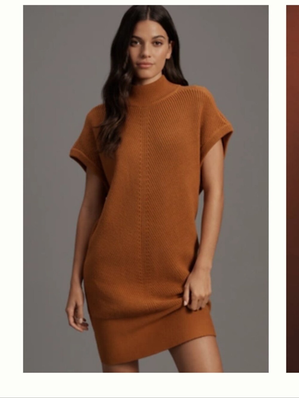 Womens Brown Knit Anthropologie Dress